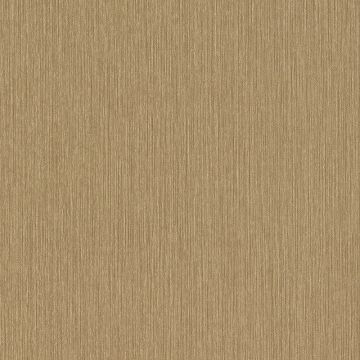 537703_640_0