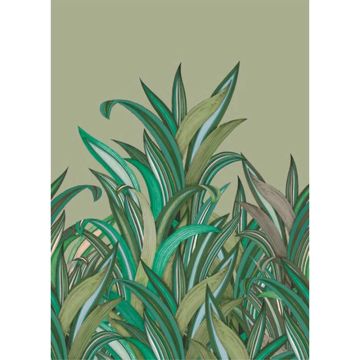Digitaldruck-Tapete Grün Studio Onszelf (1036252)