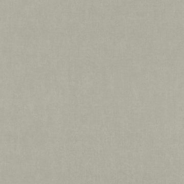Tapete Grau, Silber Rasch Vliestapete (1036283)