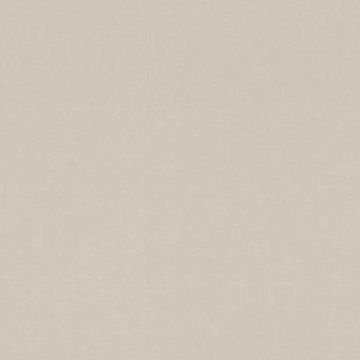 Tapete Beige, Creme Rasch Vliestapete (1036285)