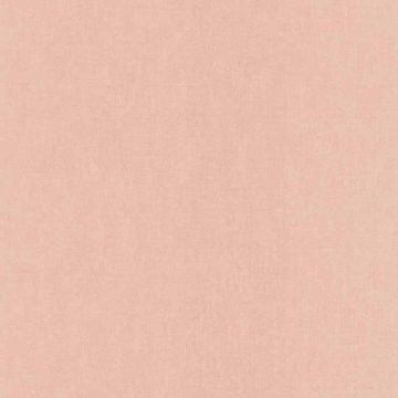 Tapete Pastellfarben, Rosa, Rose Rasch Vliestapete (1036287)