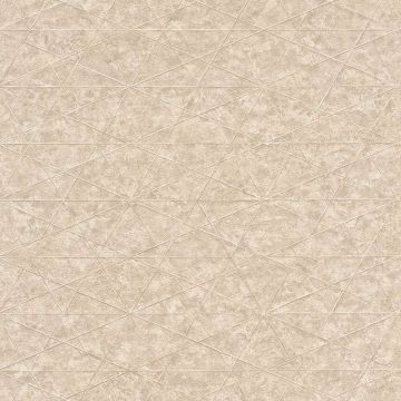 Tapete Beige, Creme Rasch Vliestapete (1038899)