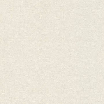 Tapete Grau, Silber Rasch Vliestapete (1038904)