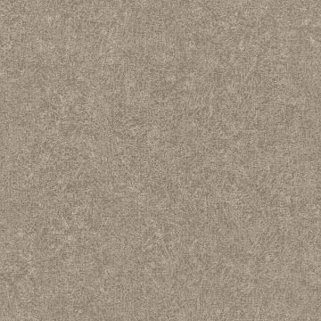 Tapete Braun Rasch Vliestapete (1038912)