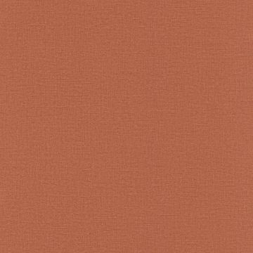 555912_640_0