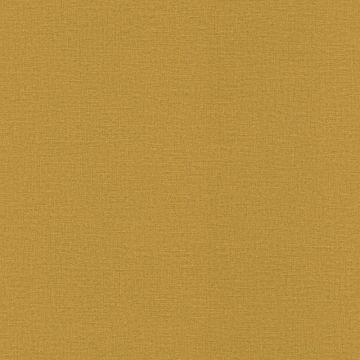 555929_640_0