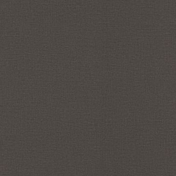 Tapete Schwarz, Anthrazit Rasch Vliestapete (1041626)
