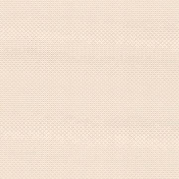 570243_1_1