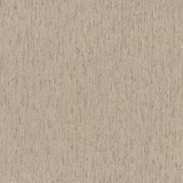 Tapete Greige Rasch Vinyltapete (KG-175547)