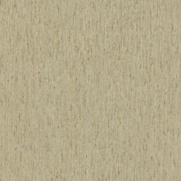 Tapete Grün Rasch Vinyltapete (KG-175548)