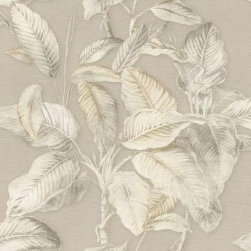 Tapete Beige, Creme Rasch Vinyltapete (KG-175556)