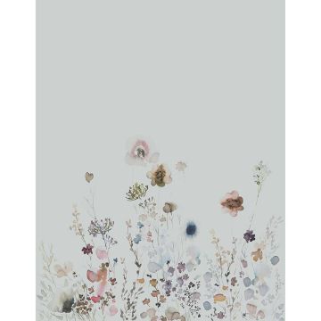 63451_001_scan