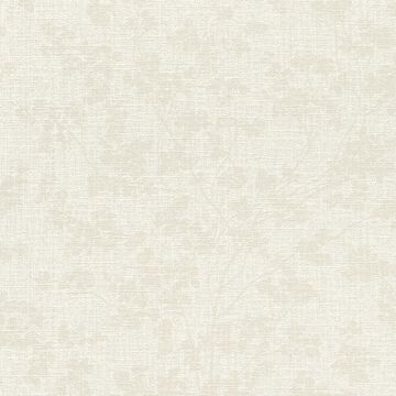653854_640_320