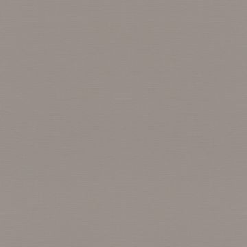 687545_1
