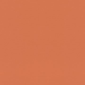 Tapete Orange, Terrakotta Rasch Vliestapete (1039528)