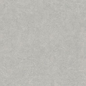 Tapete Grau, Silber Rasch Vliestapete (1042601)