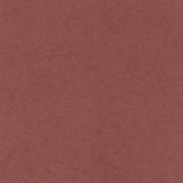 699838_640_0