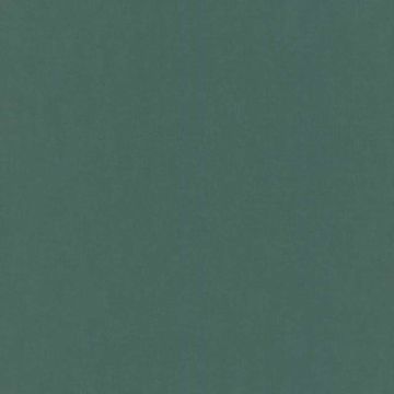 Tapete Grün Rasch Papier (1039321)
