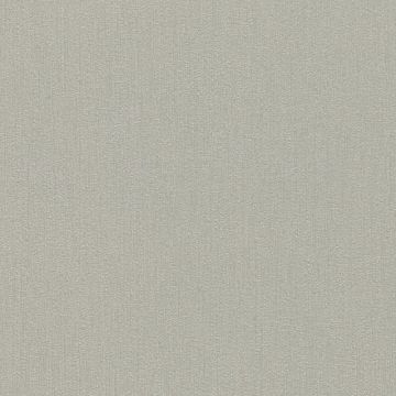 Tapete Grau, Silber Rasch Vinyltapete (KG-175517)