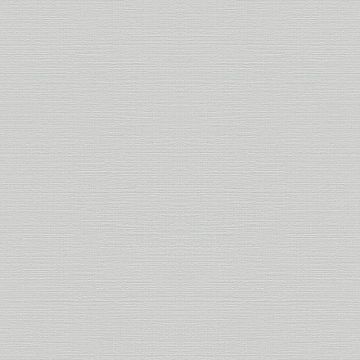 Tapete Grau, Silber Rasch Vliestapete (1042395)