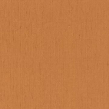 Tapete Orange, Terrakotta Rasch Vliestapete (1042809)