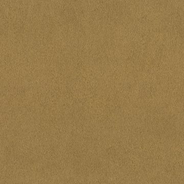751031_530_0