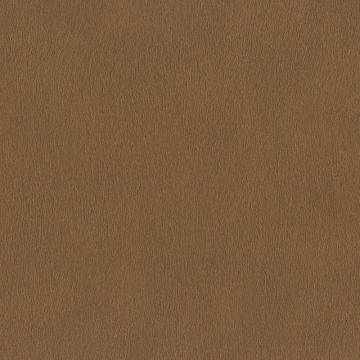 751079_600_0