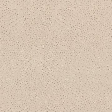 751512_530_0