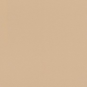 Tapete Beige, Creme Rasch Vliestapete (1042485)