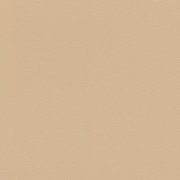 Tapete Beige, Creme Rasch Vliestapete (1042485)