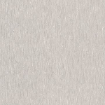 Tapete Grau, Silber Rasch Vliestapete (1042400)