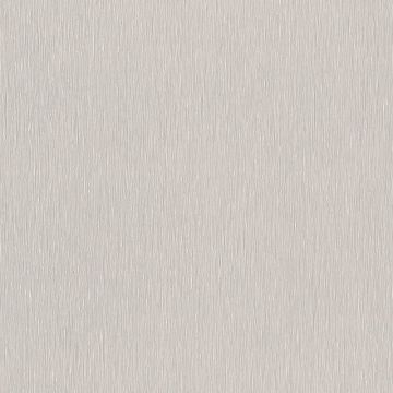 Tapete Grau, Silber Rasch Vliestapete (1042400)