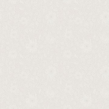 814-11-anton-image1
