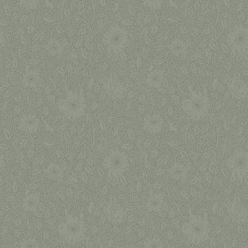 814-38-anton-image1