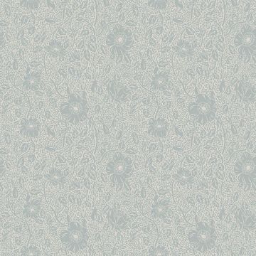 814-56-anton-image1