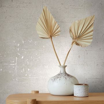 Tapete Beige, Creme Novamur Vliestapete (1035129)