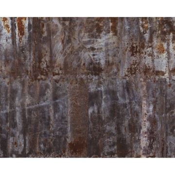 Digitaldruck-Tapete Braun, Grau, Silber Rasch (1023854)