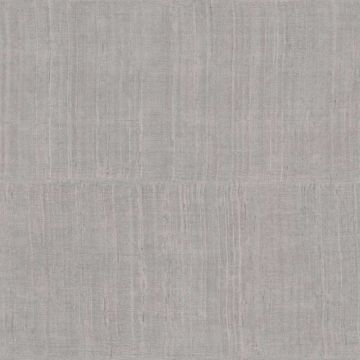 Tapete Grau, Silber, Alaya ARTE Vliestapete (KG-171279)