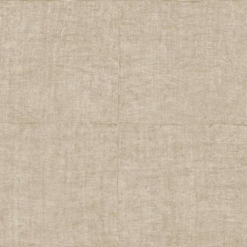 Tapete Beige, Creme, Antigua ARTE Vliestapete (KG-171308)