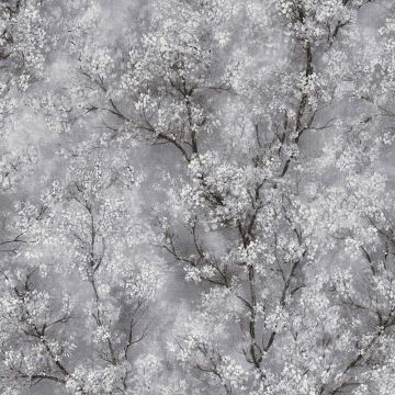 as374201_1