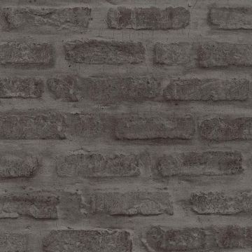 as374223_1