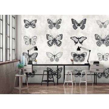 DD110361 Walls by Patel Sketchpad