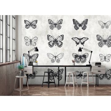 DD110361 Walls by Patel Sketchpad