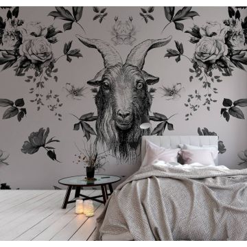DD110386 Walls by Patel