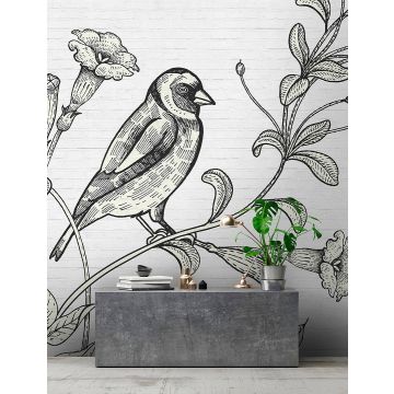 DD110416 Walls by Patel
