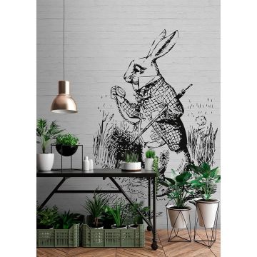 DD110441 Walls by Patel