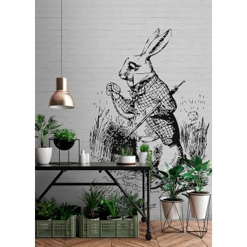 DD110441 Walls by Patel