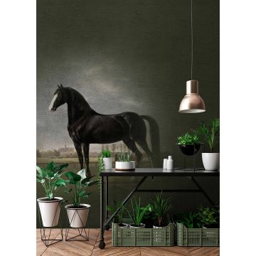 DD110666 Walls by Patel