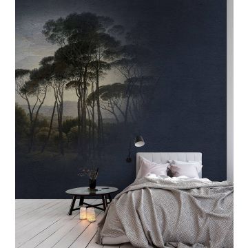 DD110671 Walls by Patel