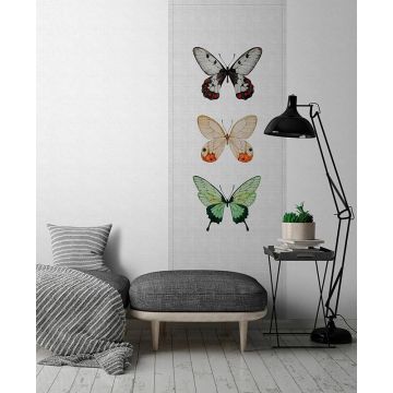 114042 Walls by Patel 2 Buzz Panels